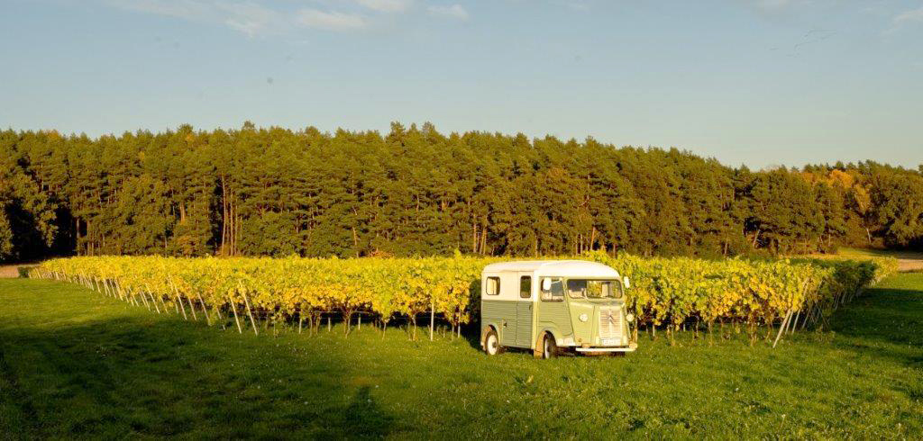 Auto am WeinbergQuer2